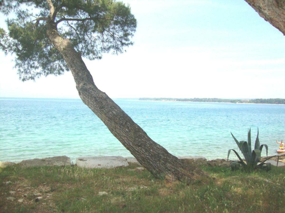 Apartment Mirta Pula Luaran gambar
